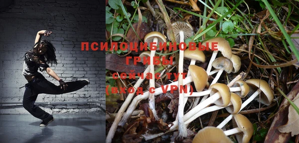 индика Верея