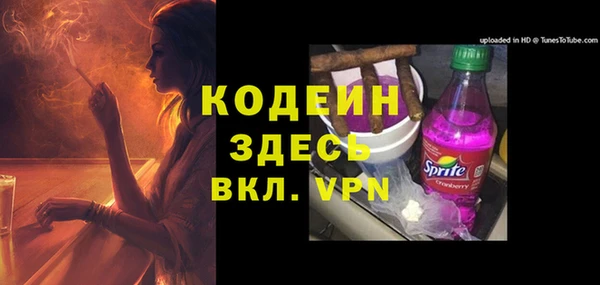 индика Верея