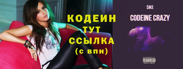 индика Верея