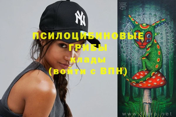 индика Верея