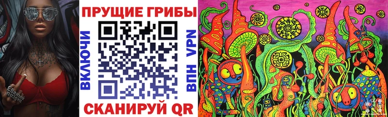 где можно купить наркотик  hydra зеркало  Псилоцибиновые грибы ЛСД  сайты даркнета телеграм  Томск 