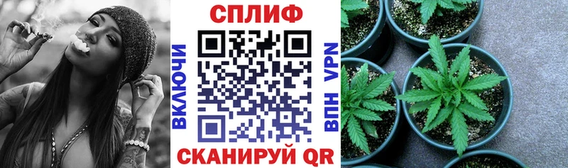 OMG как зайти  Томск  Бошки Шишки план 